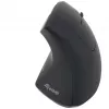 Equip 245110 Vertikali ergonomiška belaidė pelė – dešinei rankai, 2,4 GHz, USB imtuvas, juoda