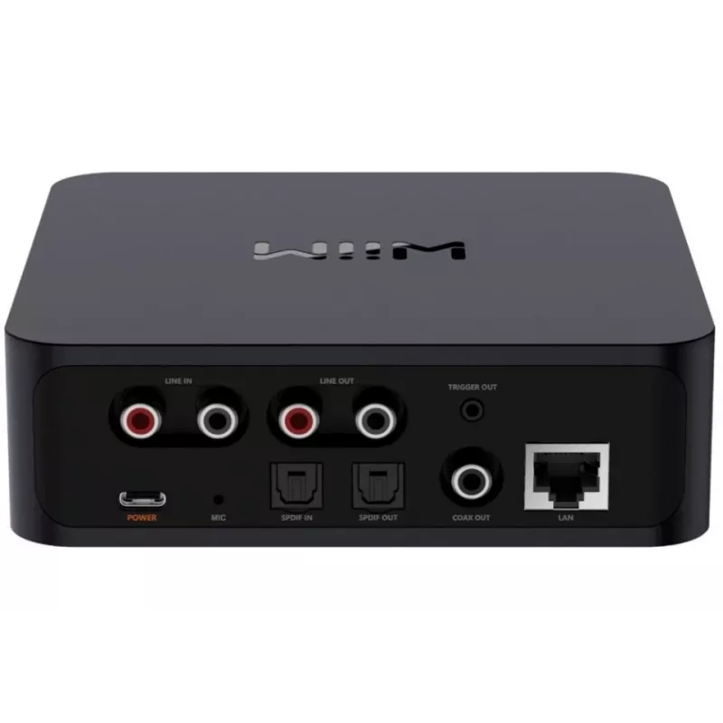 WiiM Pro tinklinis grotuvas - AirPlay 2, Chromecast, kelių kambarių srautinis grotuvas
