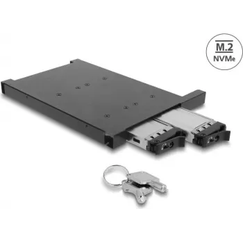 Delock Adapter Frame for 2 x M.2 NVMe SSD with SFF-8654 Connector for 12,7 mm Slim ODD Bay (47138)