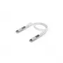 Ubiquiti UACC-Uplink-SFP28-0.3M Pasyvus vario tiesioginio prijungimo kabelis, 0,3 m, SFP28 į SFP28, 25 Gbps, juodas