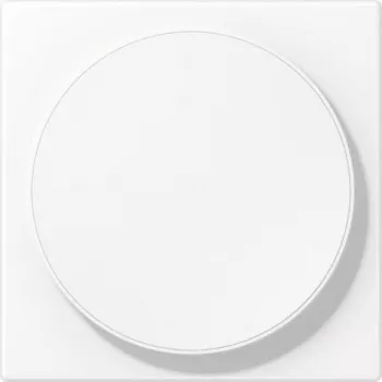 JUNG LS WC MAG WWM dangtelis belaidžiam įkrovimui, termoplastinis lakuotas, Alpine White, LS serija