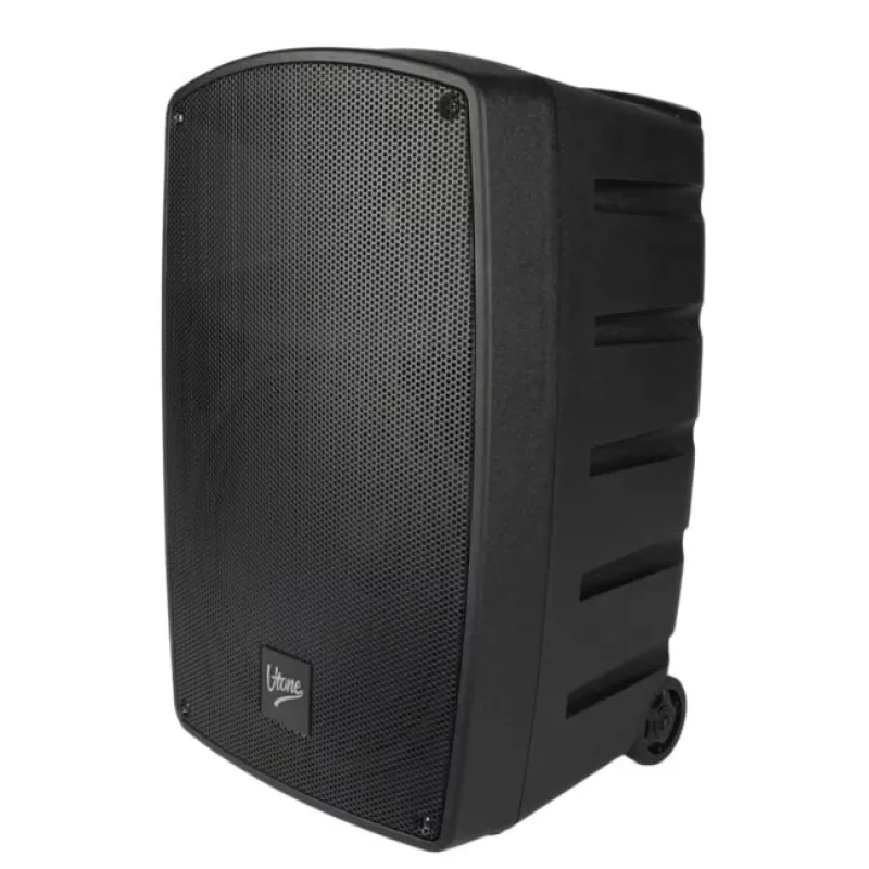 V-TONE BQ12 GO MP3 aktyvus 8 colių baterijomis maitinamas garsiakalbis su belaidžiu mikrofonu ir nuotolinio valdymo pulteliu, juodas