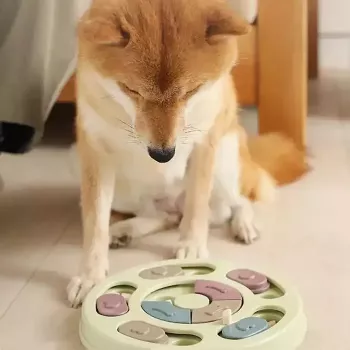 iLike Dog Treat Puzzle Feeder diam. 24 cm Interaktyvus Lėto Valgymo Žaislas Treniruotėms Įvairiaspalvis