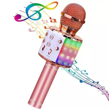 HQ Royal Song WS-858 Karaoke mikrofonas su garsiakalbiu ir įrašymu