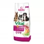 GDD Gold Dog Premium Vital Ėriena su Ryžiais Sausas Šunų Ėdalas 12kg