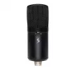 SGG Stagg SUSM60D USB kondensatorinis mikrofonas