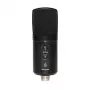 SGG Stagg SUSM60D USB kondensatorinis mikrofonas