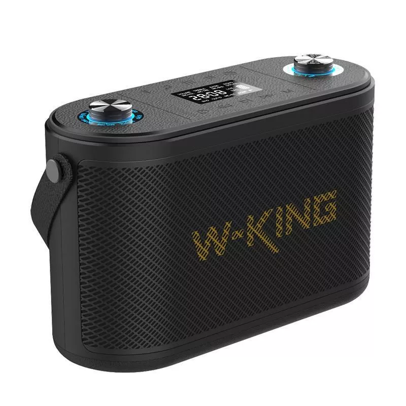 W-KING H10 nešiojamas Bluetooth garsiakalbis 120W RGB lemputės IPX6 juodos spalvos