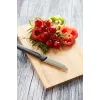 Barbecook Bamboo pjaustymo lenta FSC 30x20x1.5 cm 6 vnt.