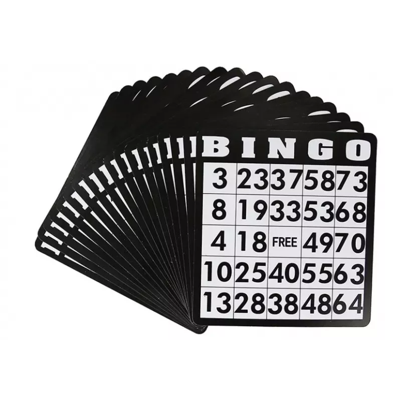 LEAN TOYS Metal Bingo Game Set Reusable Cards Lottery Machine