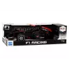 LEAN TOYS Racer Sports Car F1 Driven 1:10 Black Sounds