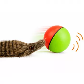 LEAN TOYS Ball with Fluffy Ferret Tail Interactive Bath Toy