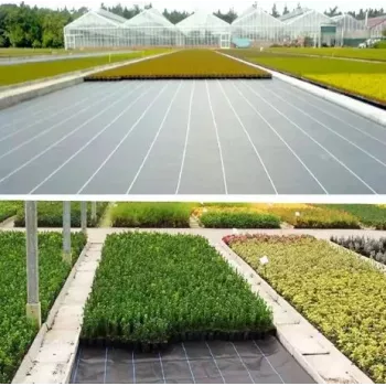 LEAN Black Agrotextile 100 cm x 50 m UV 70 g Anti-weed Agrotextile + Anchors