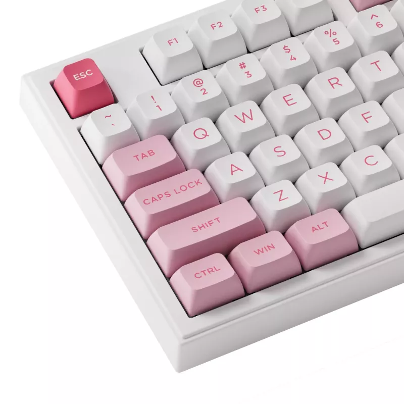 AKKO 5098B Prunus Lannesiana mechaninė klaviatūra, 98 klavišų, trijų režimų, karštai keičiama, RGB, PBT ASA klavišų dangteliai