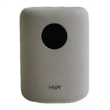 WiiM LPWISNDW „Sound Smart Speaker“ (balta)