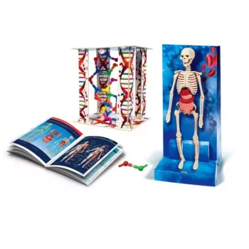 Clementoni Science Fun Human Body lenkų kalba 60249