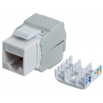 Intellinet 167062 Cat6 UTP Keystone Jack, be įrankio, baltas