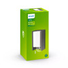 Philips myGarden IR ES Wandleu Bridge 42W Bewegungsm Anthraz