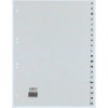 REXEL HETZEL A4 A-Z skyriklis su 20 kortelėmis, polipropilenas, pilkas, 80-80-80 mm perforacija 25240481