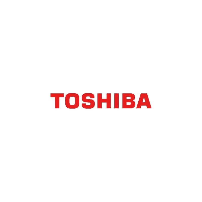Kietasis diskas Toshiba N300 8 TB 3,5 colio Serial ATA III