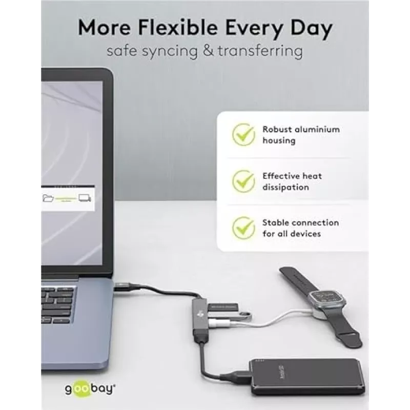 Goobay USB Hub 74456 4 prievadų USB-A 5000 Mbit/s šviesiai pilkas