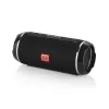 BLOW BT460 Belaidis stereo garsiakalbis nešiojamas, juodas, sidabrinis, 10 W