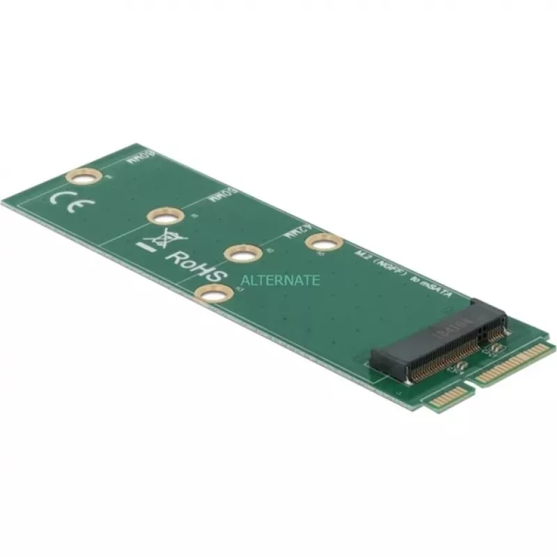 DeLOCK 64109 – M.2 į mSATA sąsajos adapteris