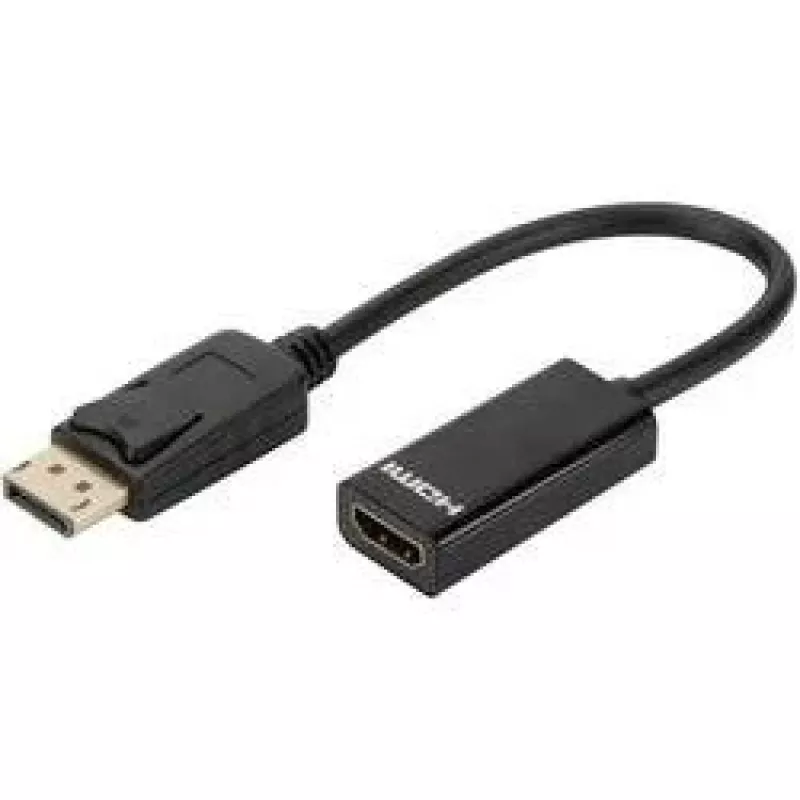 Digitus DisplayPort adapteris / keitiklis
