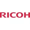 Ricoh SP C310HE originalus juodas toneris 1 vnt.