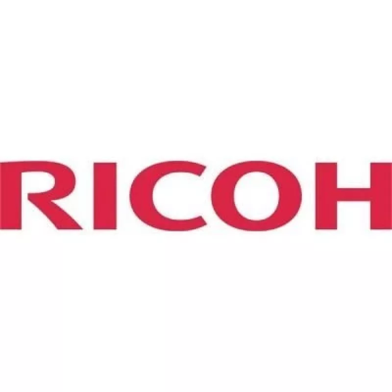 Ricoh SP C310HE originalus juodas toneris 1 vnt.