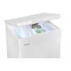 Šaldiklis Amica GT 311 105 W 99 L