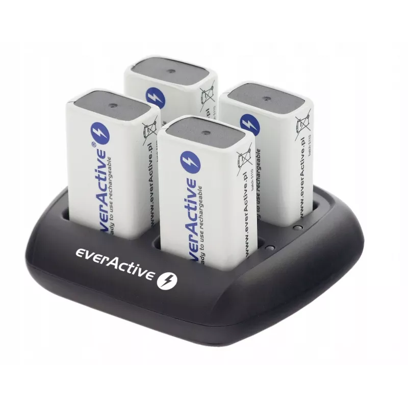 Baterijų įkroviklis EverActive NC109 AC