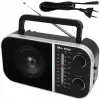Nešiojamas analoginis radijas BLOW RA6 AM/FM