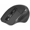 Pelė Tracer Cozy RF 2.4 GHz belaidė optinė dešinei rankai 1600 DPI