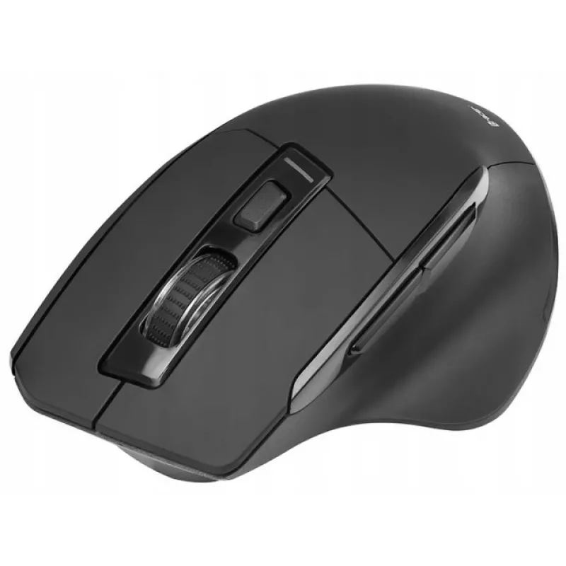 Pelė Tracer Cozy RF 2.4 GHz belaidė optinė dešinei rankai 1600 DPI