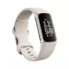 Fitbit GA05185-EU sidabrinė veiklos stebėjimo apyrankė
