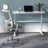 Stalas su rankiniu aukščio reguliavimu Ergo Office, maks. 40 kg, maks. aukštis 117 cm, su stalviršiu darbui stovint ir sėdint, ER-401 W