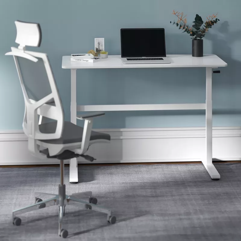 Stalas su rankiniu aukščio reguliavimu Ergo Office, maks. 40 kg, maks. aukštis 117 cm, su stalviršiu darbui stovint ir sėdint, ER-401 W