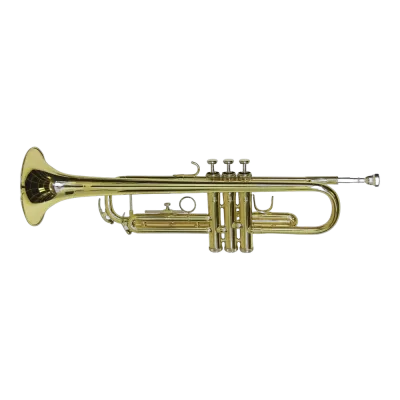 Pučiamieji instrumentai