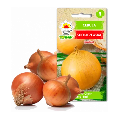 Daržovių sėklos
