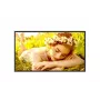 LG 32UL5Q-M 32" 4K UHD skaitmeninės reklamos ekranas