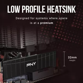 PNY 16GB DDR4 3200MHz Low Profile atmintis staliniams kompiuteriams