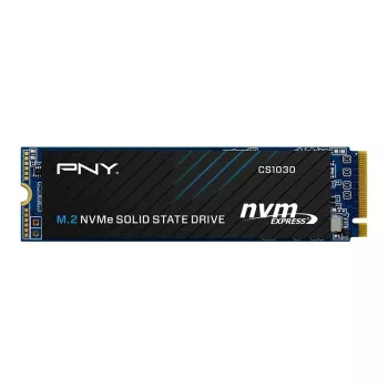 PNY CS1030 256GB M.2 2280 PCIe NVMe Gen3 x4 vidinis kietasis diskas (Bulk)