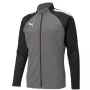 Puma teamLIGA Training vyriški treniruočių marškinėliai su ketvirčio užtrauktuku, Puma Black-Asphalt, dydis L