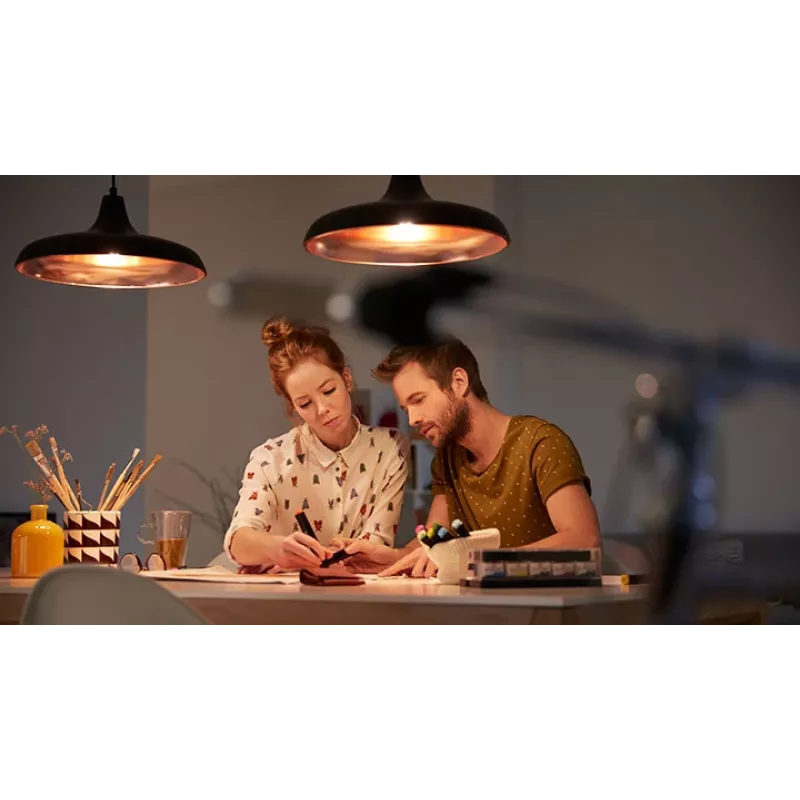 Philips Smart Smart Plug Type-F 3 vnt. (Matter) – išmanusis kištukas