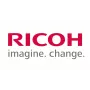 Ricoh D1796324 (D179-6324) Perdavimo ir atskyrimo pavaros mazgas