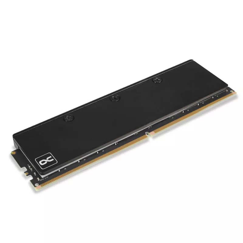 Alphacool 17631 Aliumininis RAM aušintuvas DDR5 – juodas (2 vnt.)