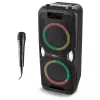 MEDION PE-1 Pure Party Speaker Black - Bluetooth 5.0, 40W RMS, 2x 6,5 inch Speakers, Karaoke, TWS, LED Lights, Power Bank