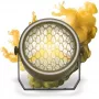 EVOLIGHTS LUMEN PAR Reflector Vintage Lighting