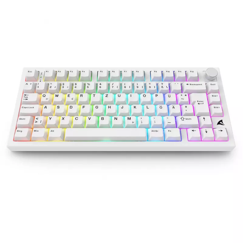 Sharkoon SGK55W SKILLER belaidė žaidimų klaviatūra, 75% išdėstymas, PBT klavišai, balta